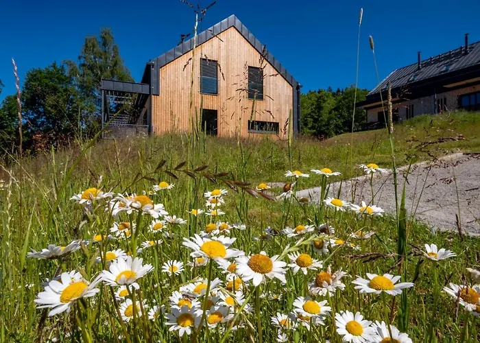 House U Hajenky 5l Lipno Lipno nad Vltavou