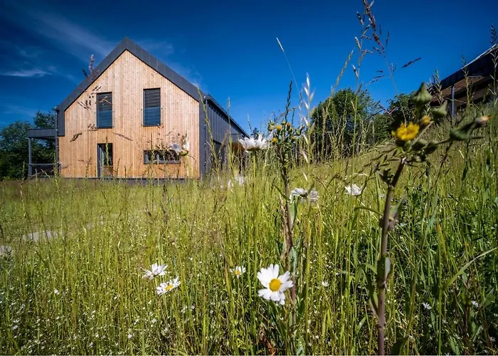 House U Hajenky 5l Lipno Apartment